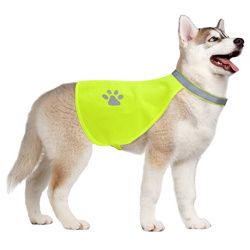 Small Hi-Vision Reflective Safety Vest